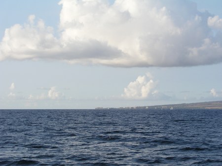 Enlarge photo 248