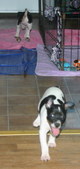 Enlarge photo 30