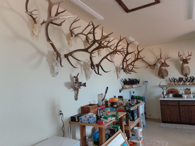 Making It Easy Loading An Elk | Page 2 | Hunt Talk