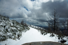 Enlarge photo 9