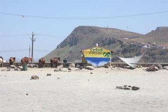 Enlarge photo 68