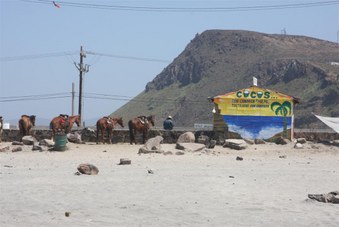 Enlarge photo 69