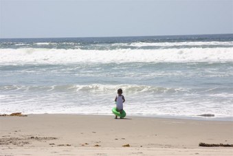 Enlarge photo 74