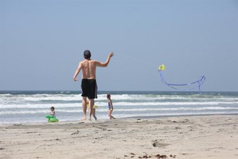 Enlarge photo 78
