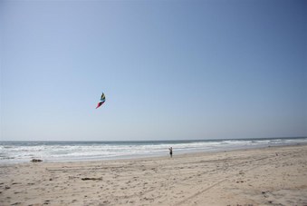 Enlarge photo 87