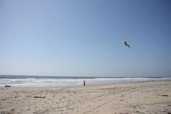 Enlarge photo 88