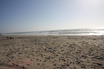 Enlarge photo 89