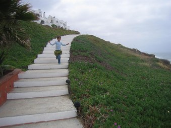 Enlarge photo 120