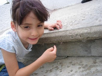 Enlarge photo 128