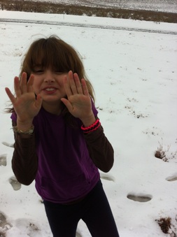 Enlarge photo 216