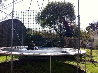 Enlarge photo 428