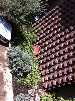Enlarge photo 500