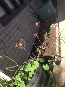 Enlarge photo 675
