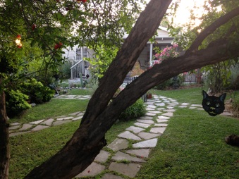 Enlarge photo 743