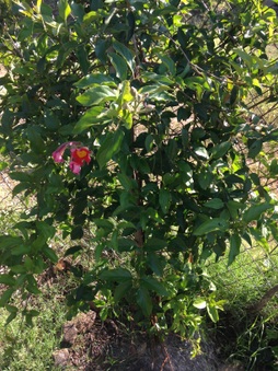 Enlarge photo 819
