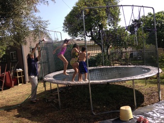 Enlarge photo 895