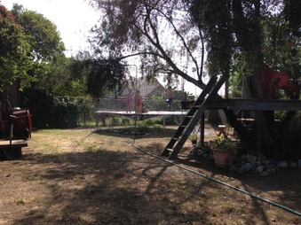 Enlarge photo 903