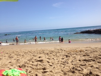 Enlarge photo 937