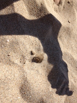 Enlarge photo 1035