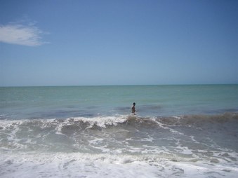 Enlarge photo 72