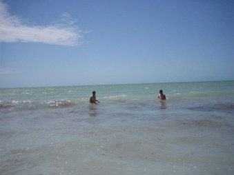 Enlarge photo 74