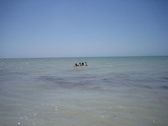 Enlarge photo 83