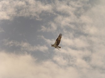 Enlarge photo 30