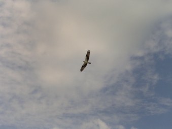 Enlarge photo 29