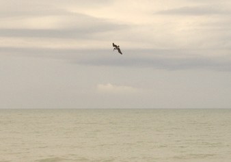 Enlarge photo 31