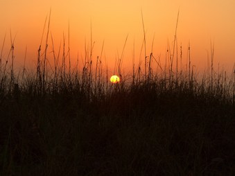 Enlarge photo 34