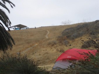 Enlarge photo 35