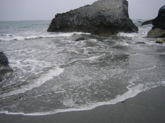 Enlarge photo 74
