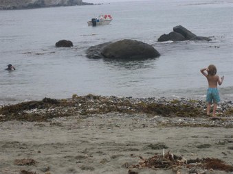 Enlarge photo 96