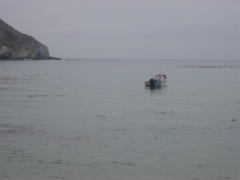 Enlarge photo 99