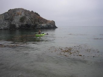 Enlarge photo 102