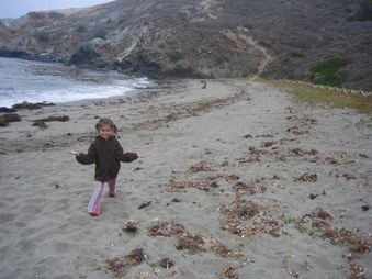 Enlarge photo 111