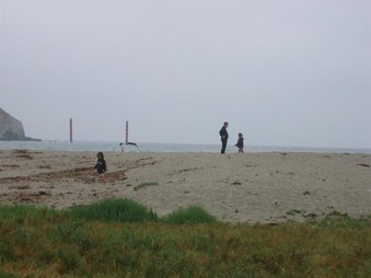 Enlarge photo 116