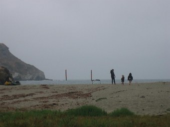 Enlarge photo 117