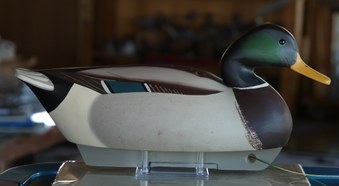 Enlarge photo 23