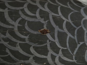Enlarge photo 79