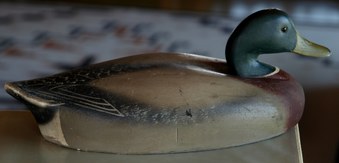 Enlarge photo 42