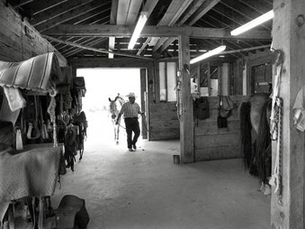 Enlarge photo 218
