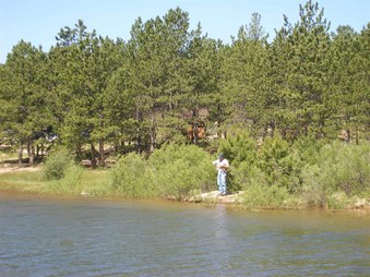 Enlarge photo 29