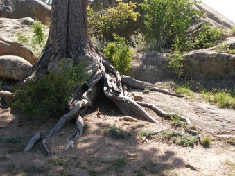 Enlarge photo 32