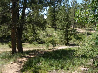 Enlarge photo 43