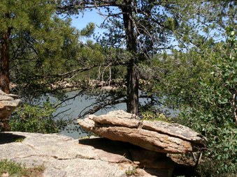 Enlarge photo 47