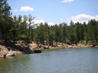 Enlarge photo 52