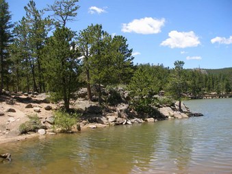 Enlarge photo 59