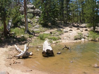 Enlarge photo 60