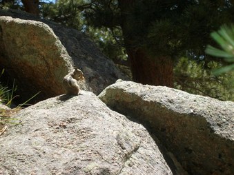 Enlarge photo 64